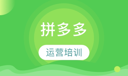 拼多多引流运营培训