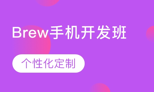 Brew手机开发班