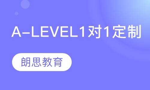 A-level 1对1定制课
