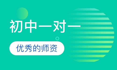 初中一对一