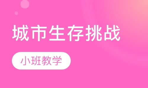 城市生存挑战