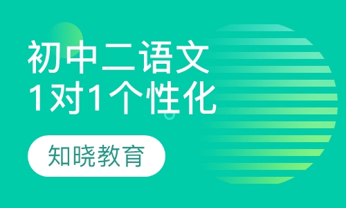 初中二年级语文 1对1个性化辅导
