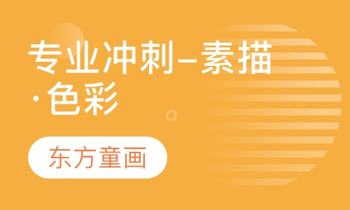 专业冲刺-素描·色彩
