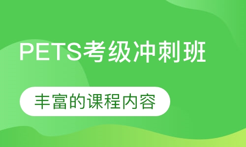 PETS考级冲刺班
