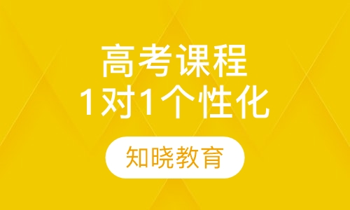 高考辅导课程 1对1个性化辅导