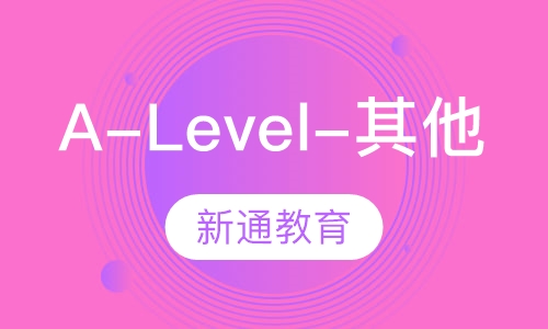 A-Level辅导-其他