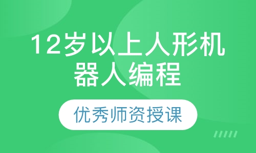 12岁以上人形机器人编程