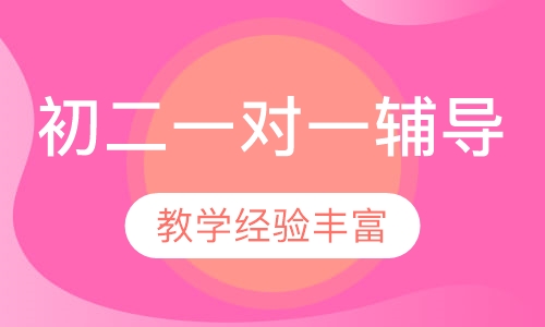 初二一对一辅导