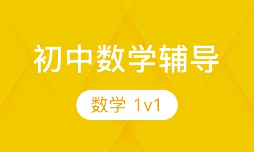 初一初二数学一对一