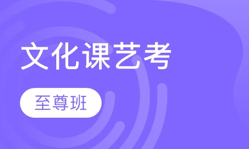艺考类文化课至尊班