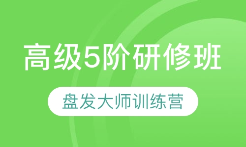盘发大师训练营
