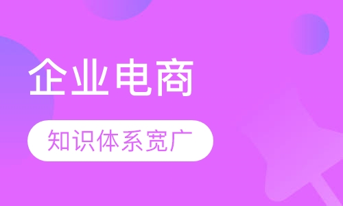 《 电子商务与网络营销-企业电商实战全攻略》课程