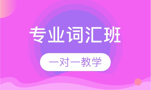 专业词汇班