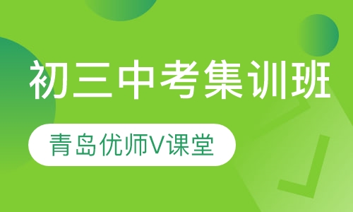 录播课+直播课初三中考集训班