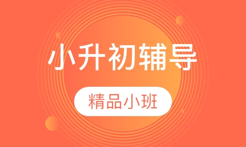 小升初精品小班辅导
