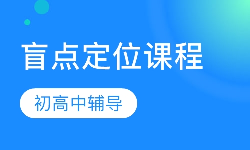 直播课初高中辅导盲点定位课程