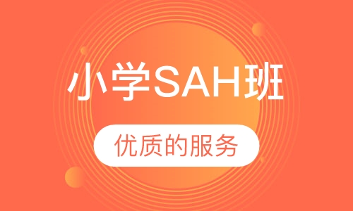 小学SAH班