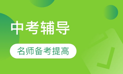 24人高考考前集训冲刺精讲班(文/理)