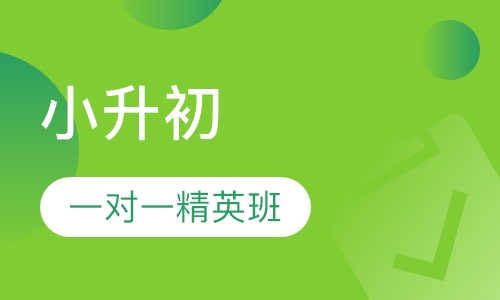 小升初一对一精英班