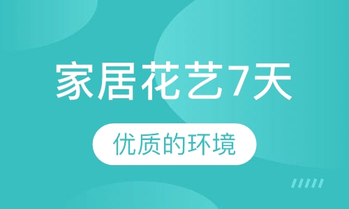 家居花艺7天