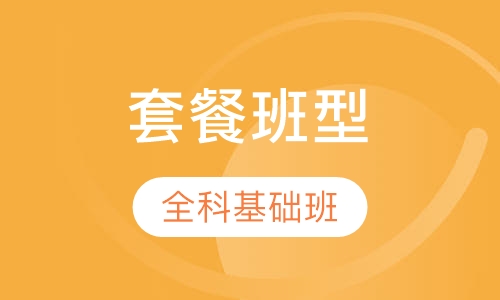 录播课+直播课套餐班型全科基础班