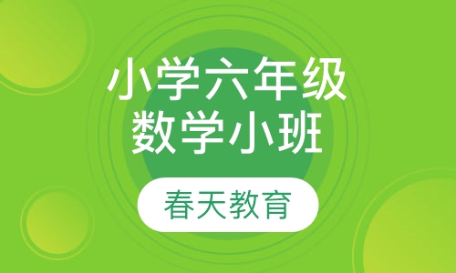 小学六年级数学小班辅导课程