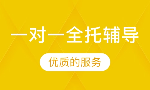一对一全日制辅导