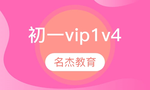 初一vip1v4