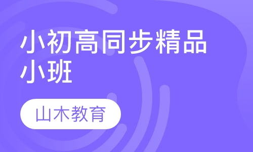 小初高同步精品小班