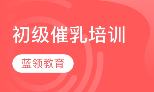 初级催乳培训