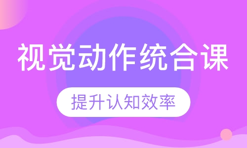 视觉动作统合课