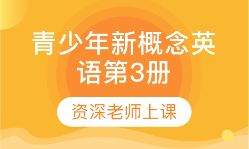 青少年新概念英语第3册