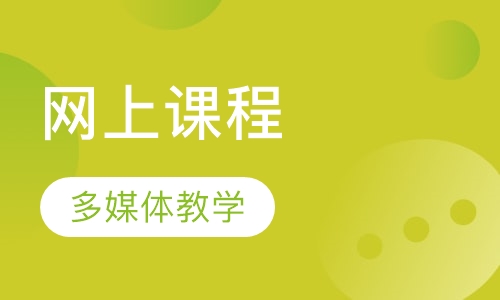 1对1/VIP网上课程
