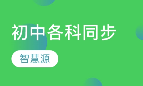 初中各科同步辅导