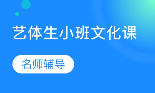 艺体生小班艺考文化课