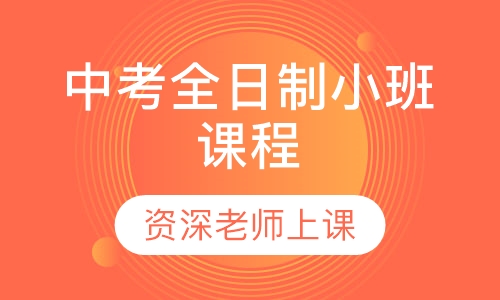 中考全日制小班课程
