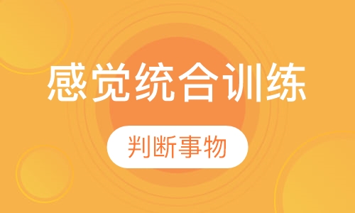 感觉统合训练
