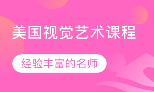 美国视觉艺术课程