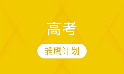 高考雏鹰计划