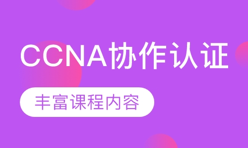 录播课+直播课CCNA协作认证
