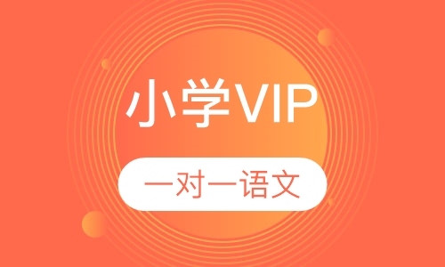 小学VIP一对一语文