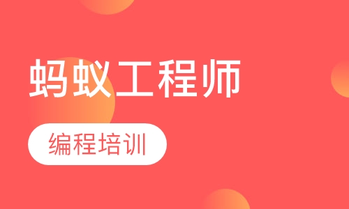 蚂蚁工程师编程培训