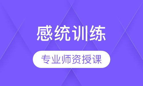 感统训练