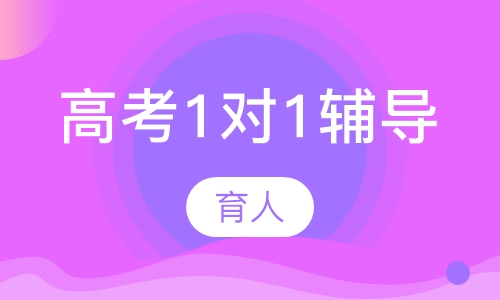 高考1对1辅导