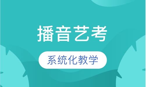 播音艺考一对一vip