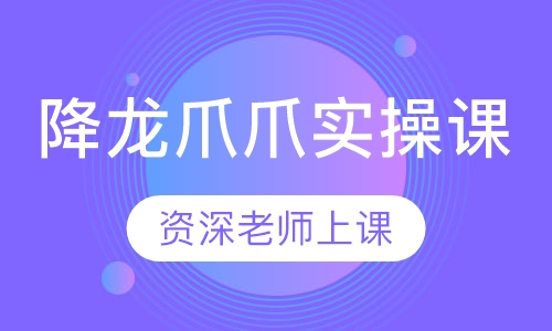 降龙爪爪实操课