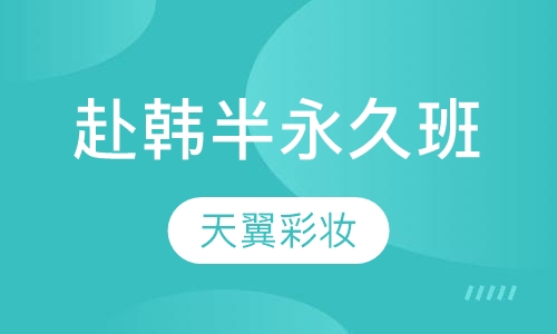 赴韩半永久精品班