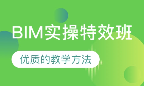 BIM实操特效班