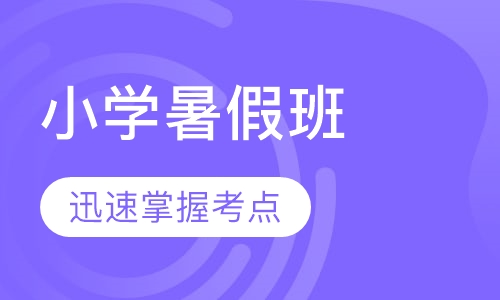 小学暑假衔接班