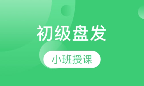 初级盘发